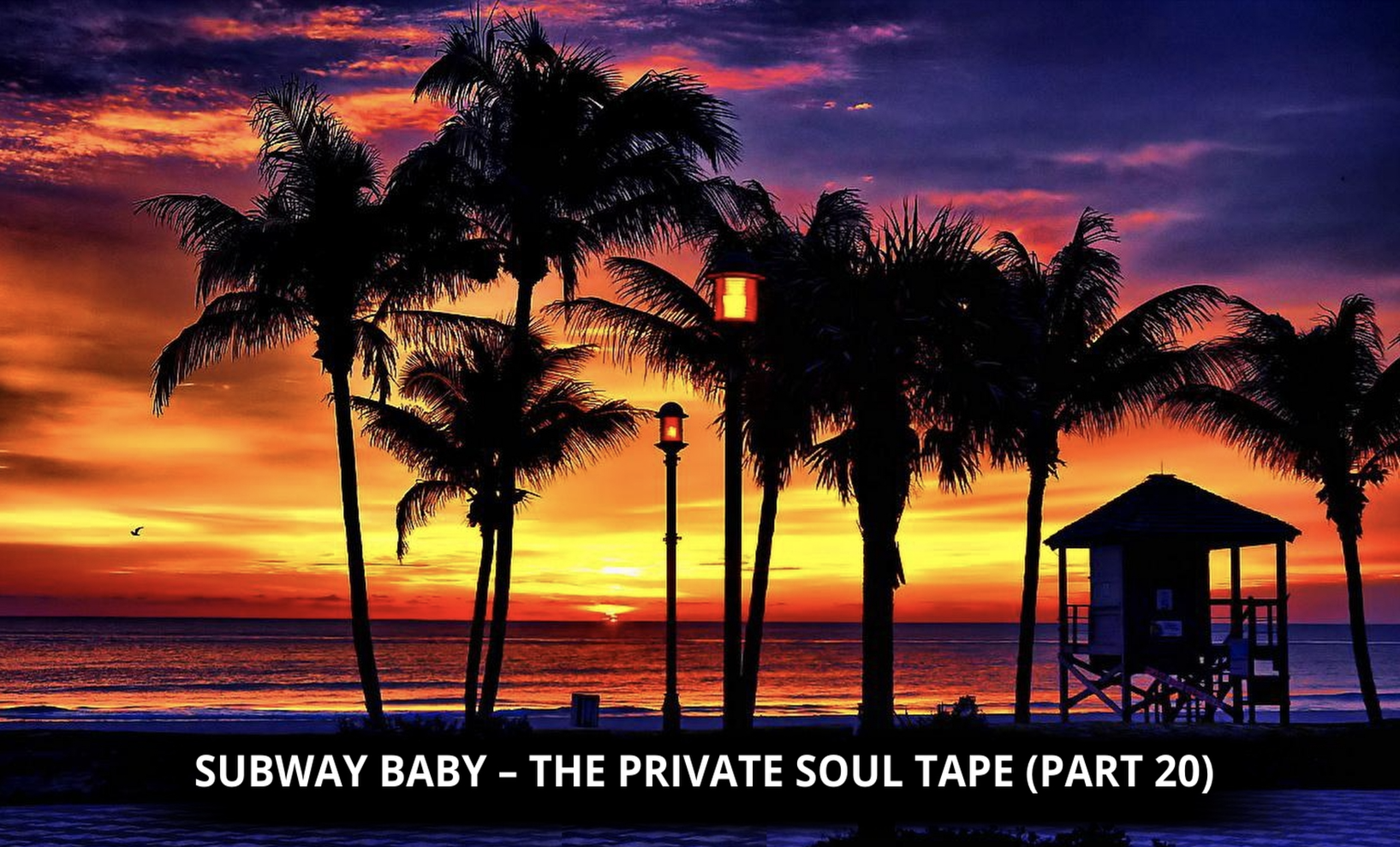 Subway Baby-The Private Soul Tape (Part 20)