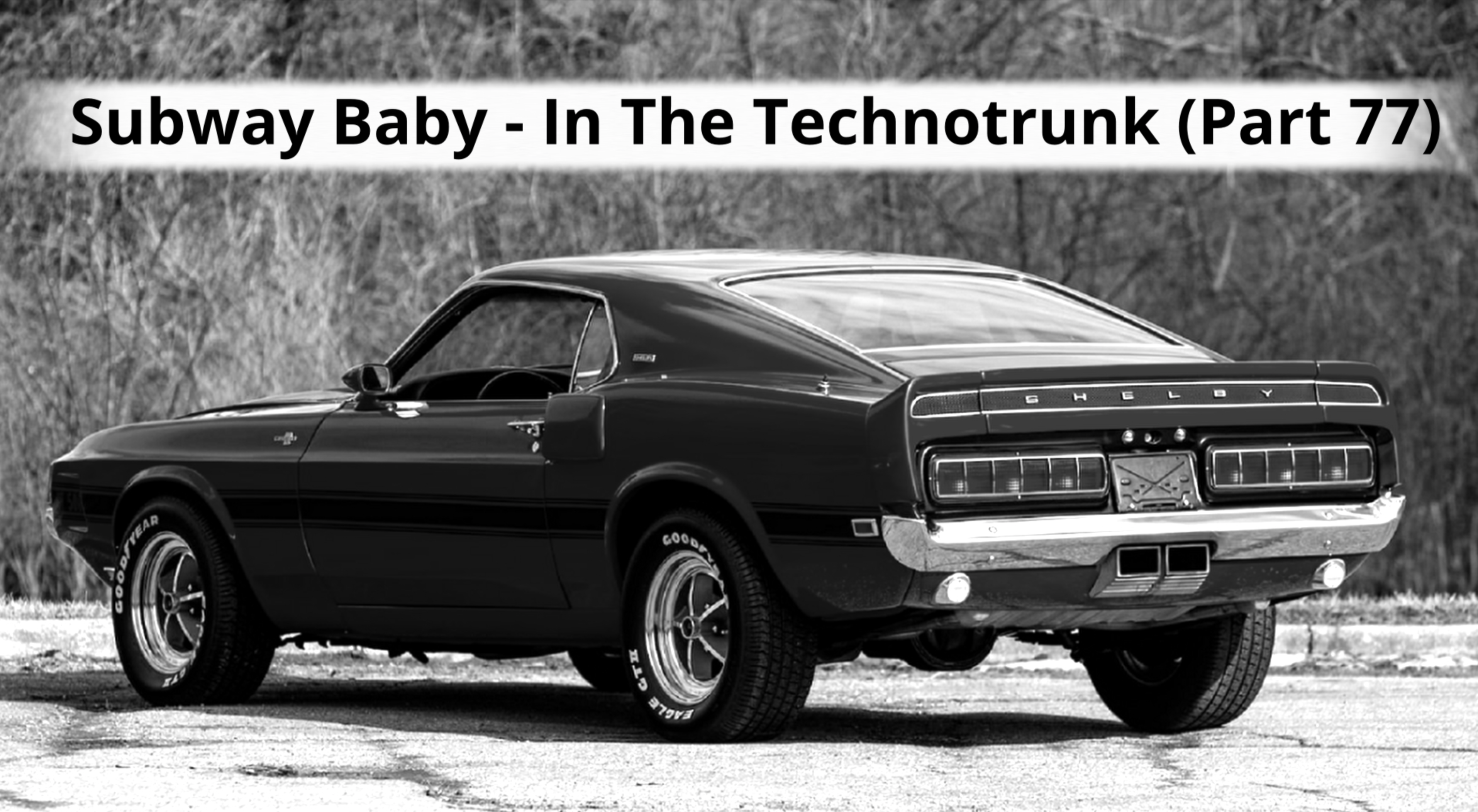 Subway Baby-In The Technotrunk (Part 77)