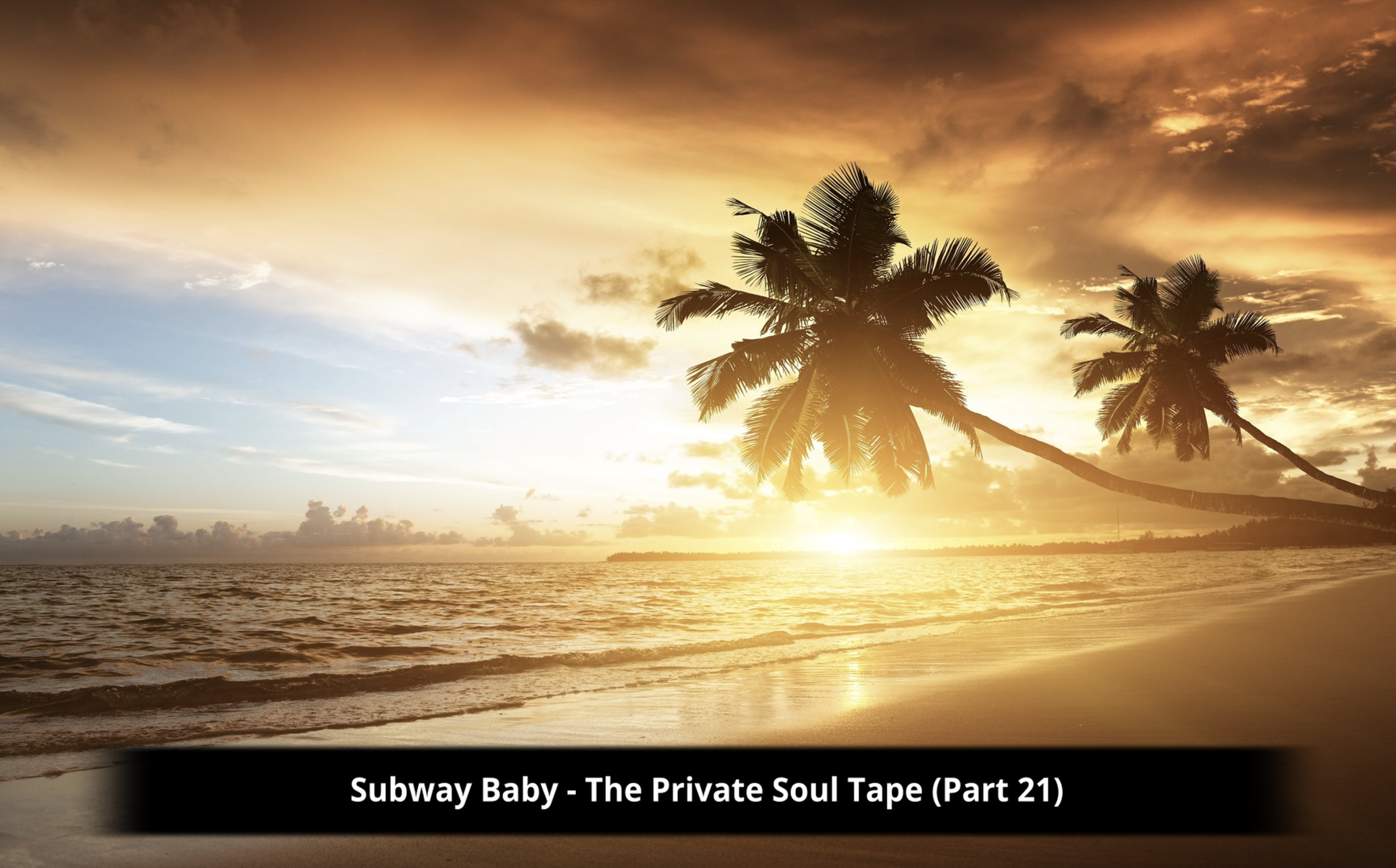 Subway Baby-The Private Soul Tape (Part 21)